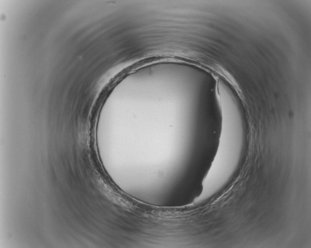 X0000087401020200705042030