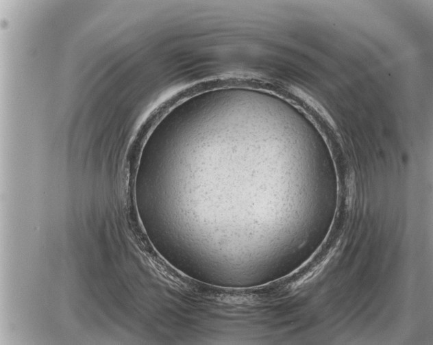 X0000087401021200705042030