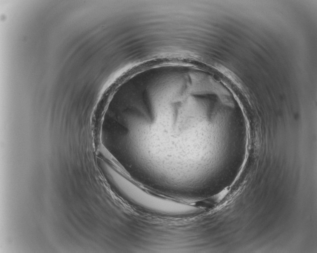 X0000087401022200705042030