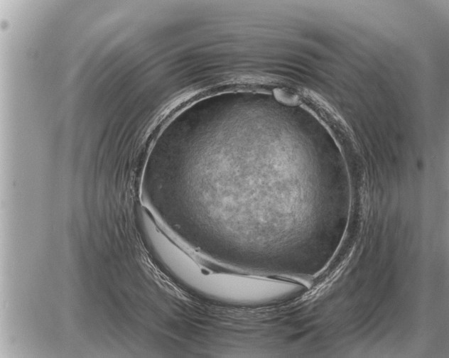 X0000087401025200705042030