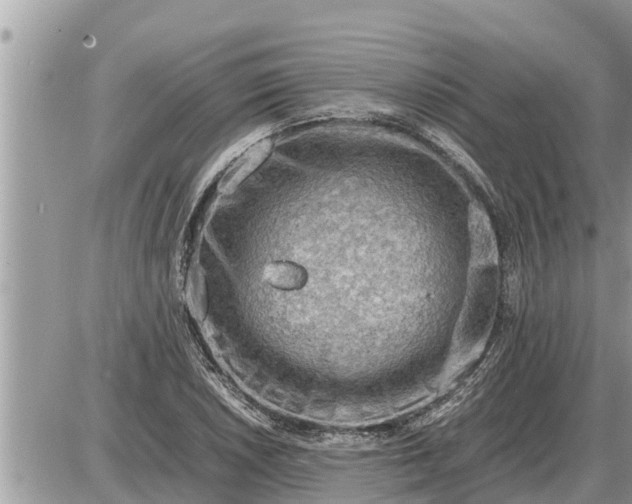 X0000087401026200705042030