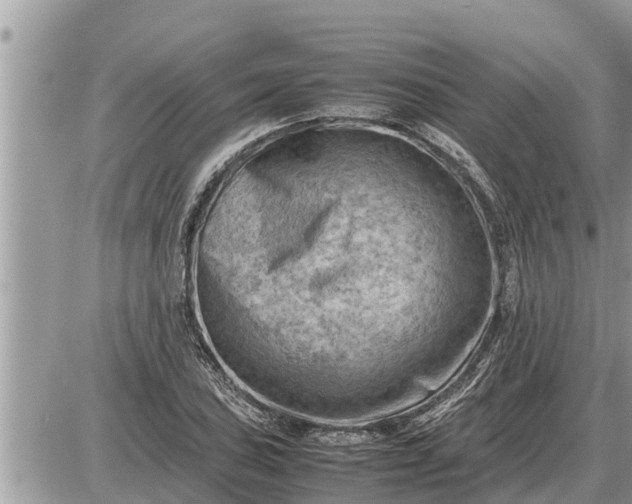 X0000087401027200705042030