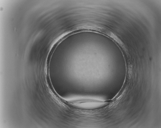 X0000087401028200705042030