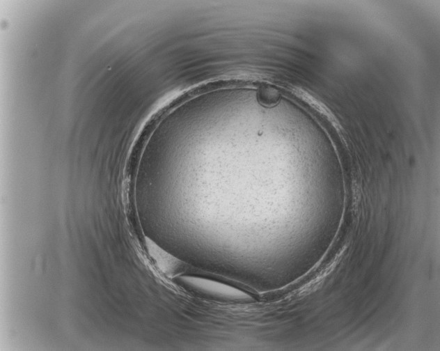 X0000087401029200705042030