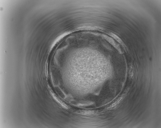 X0000087401030200705042030