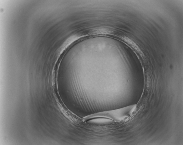 X0000087401031200705042030