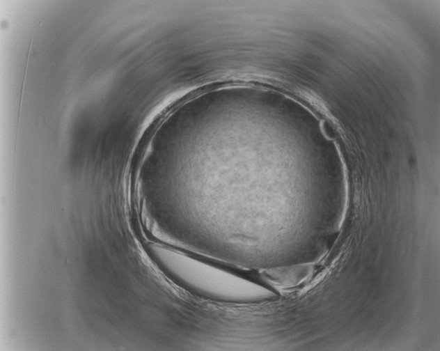 X0000087401032200705042030