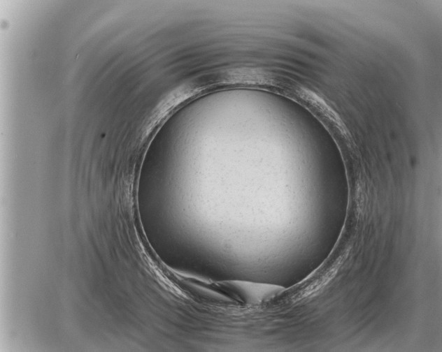 X0000087401033200705042030