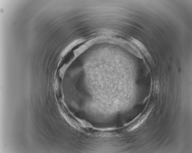 X0000087401034200705042030