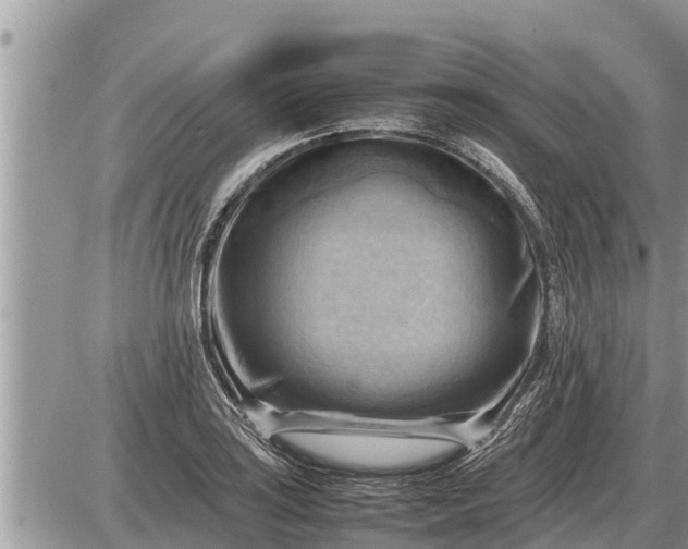 X0000087401035200705042030