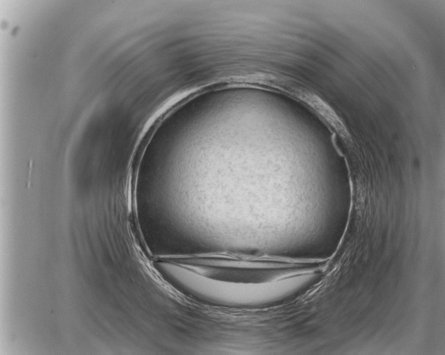 X0000087401036200705042030