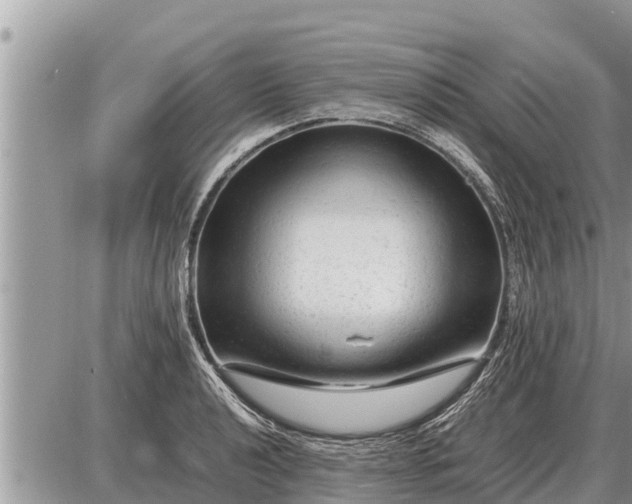 X0000087401040200705042030