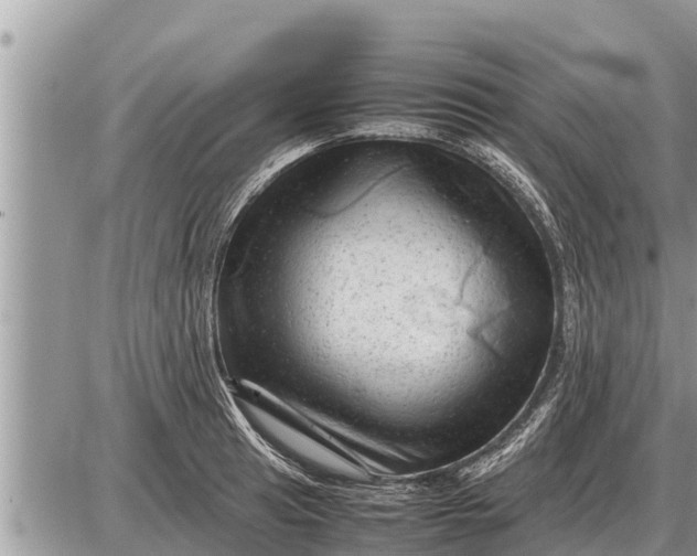 X0000087401041200705042030