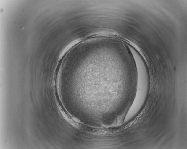 X0000087401042200705042030