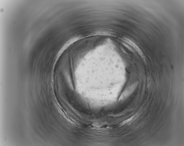 X0000087401043200705042030