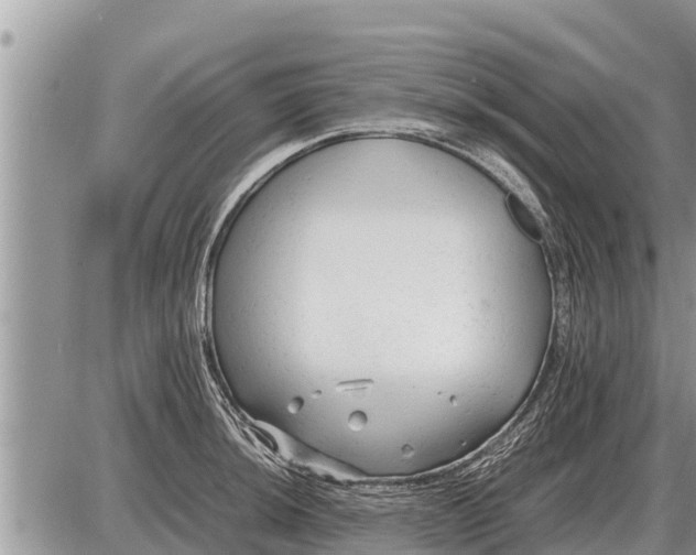 X0000087401044200705042030