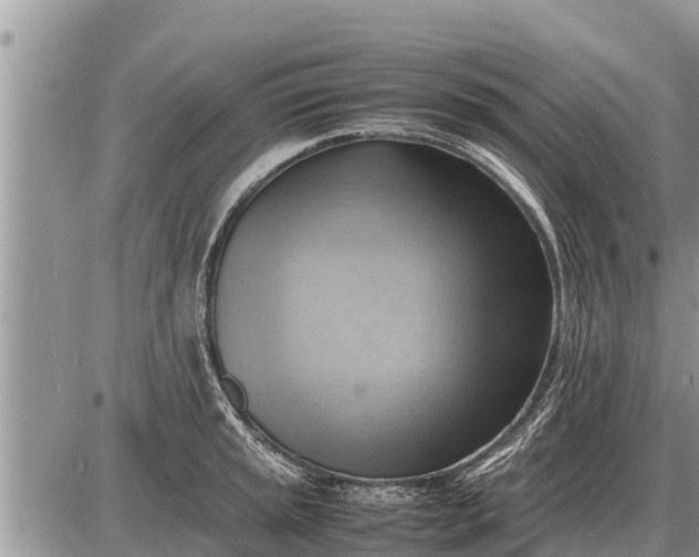 X0000087401045200705042030