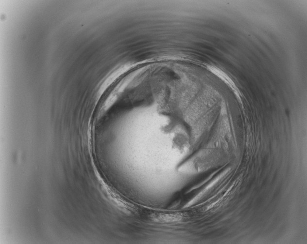 X0000087401047200705042030