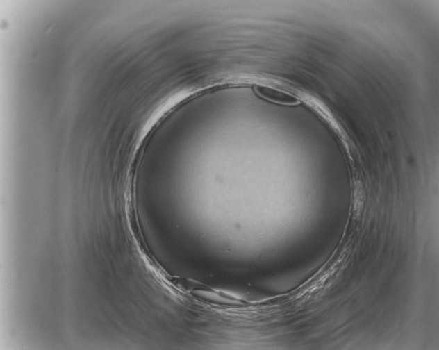 X0000087401048200705042030