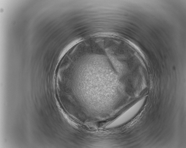 X0000087401050200705042030