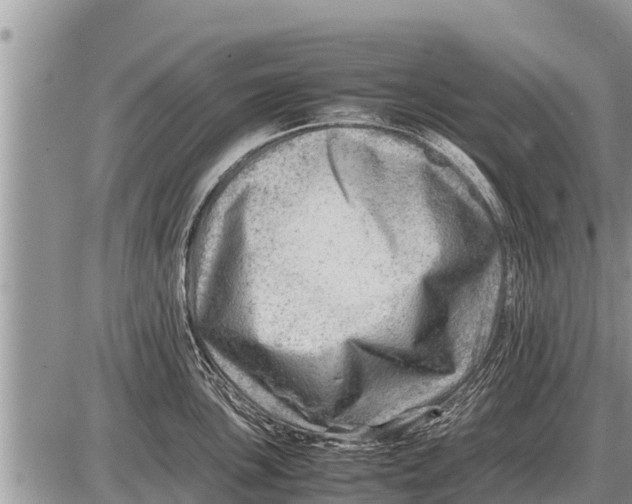 X0000087401051200705042030