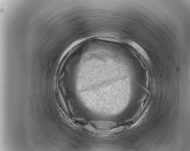 X0000087401052200705042030