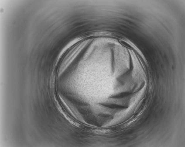 X0000087401053200705042030