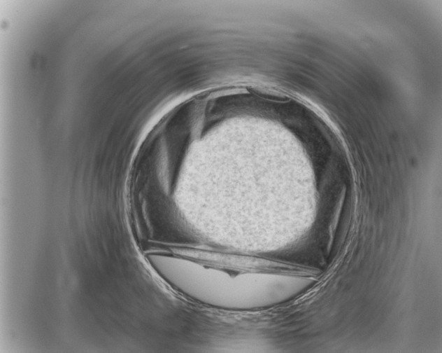 X0000087401056200705042031