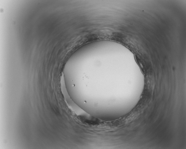 X0000087401057200705042030