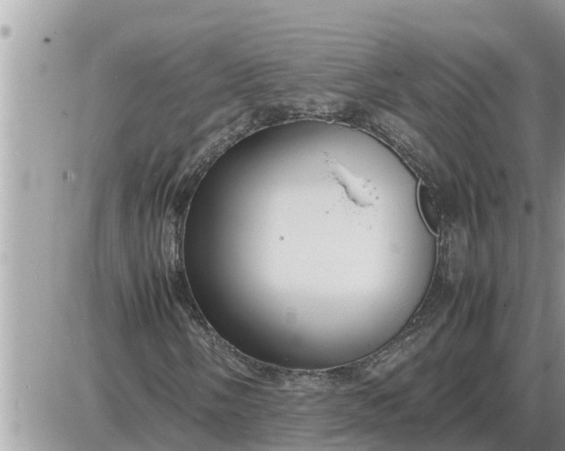 X0000087401058200705042030