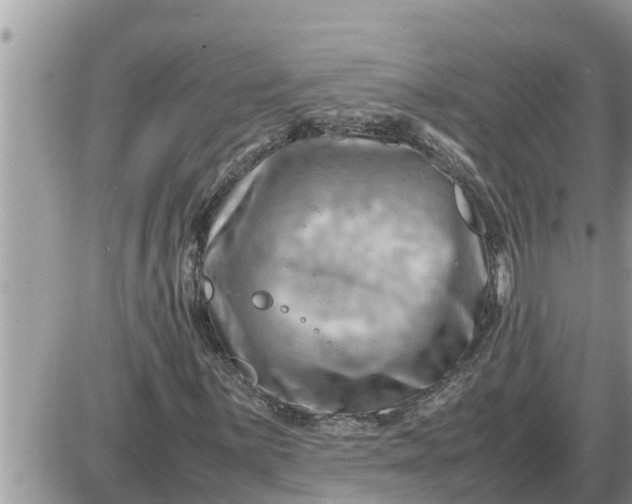 X0000087401059200705042030