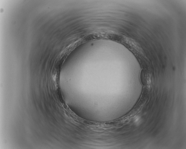 X0000087401060200705042030