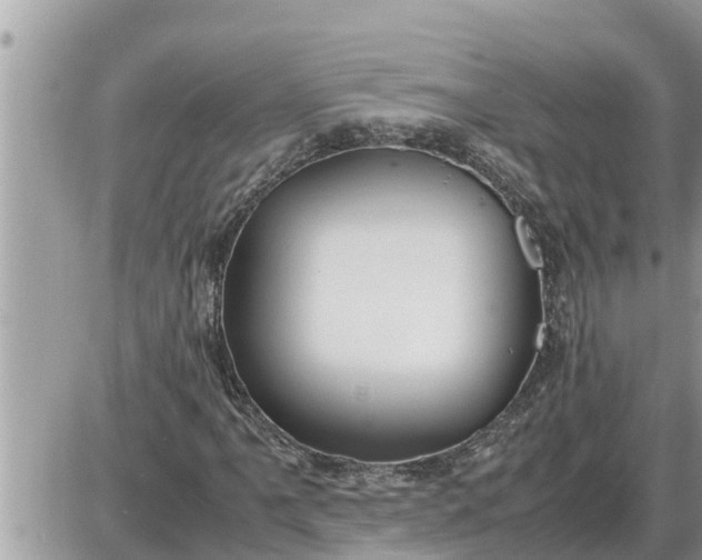 X0000087401061200705042030