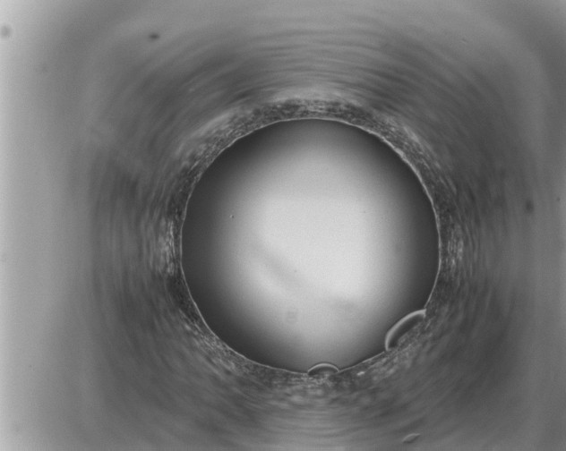 X0000087401062200705042030