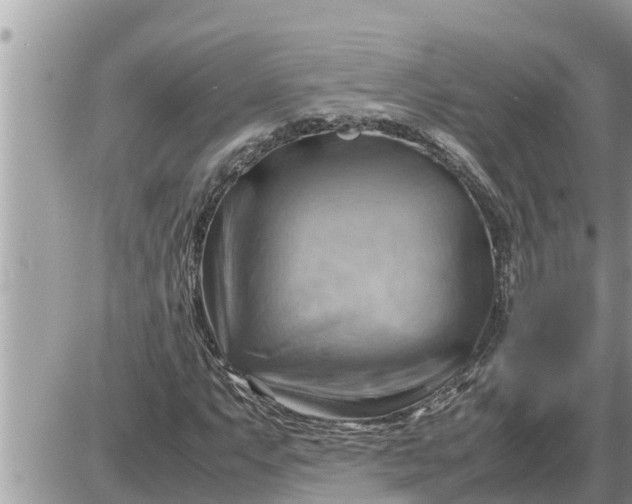 X0000087401063200705042030