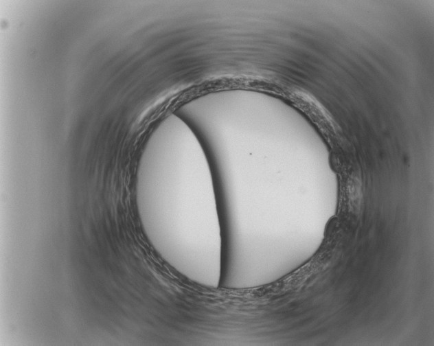 X0000087401064200705042030