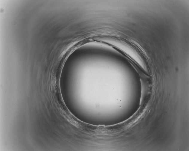 X0000087401065200705042030