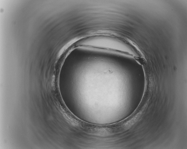 X0000087401066200705042030