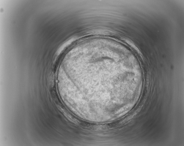 X0000087401067200705042030