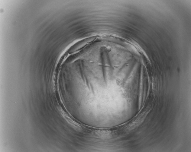 X0000087401068200705042030