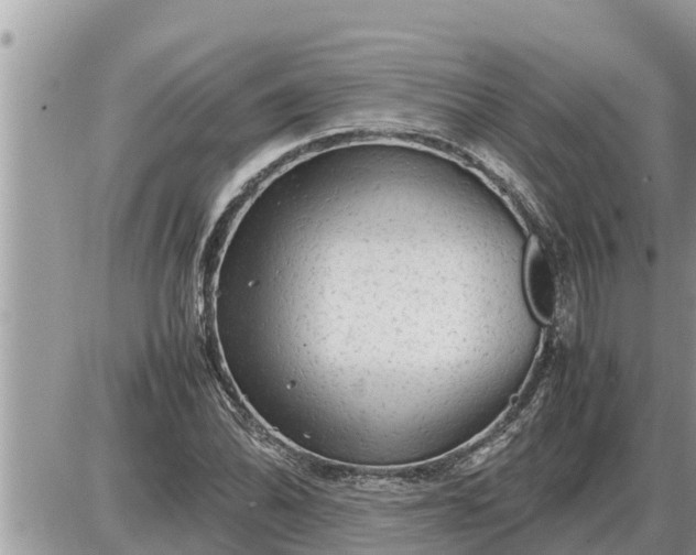 X0000087401070200705042030