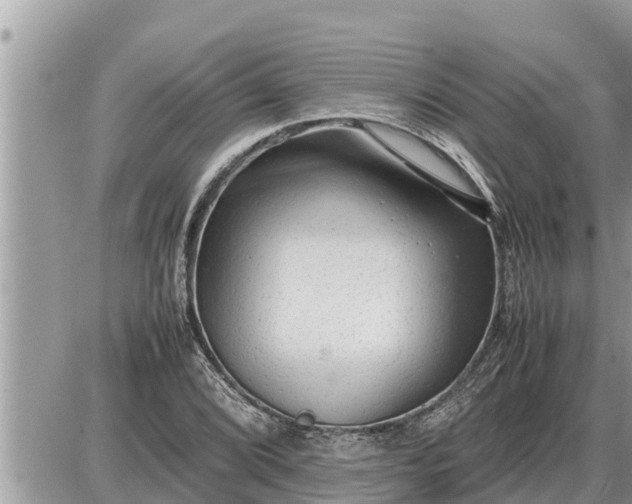 X0000087401072200705042030