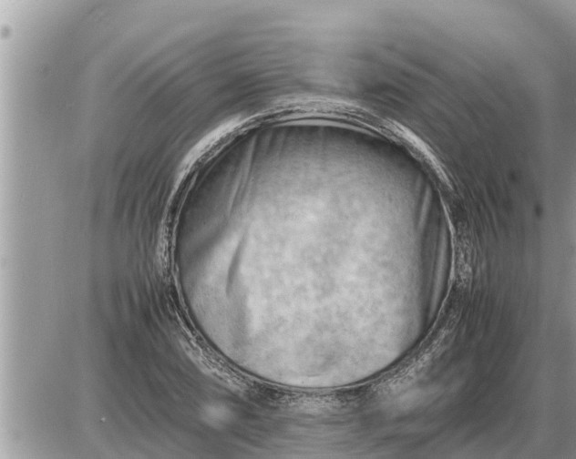 X0000087401074200705042029