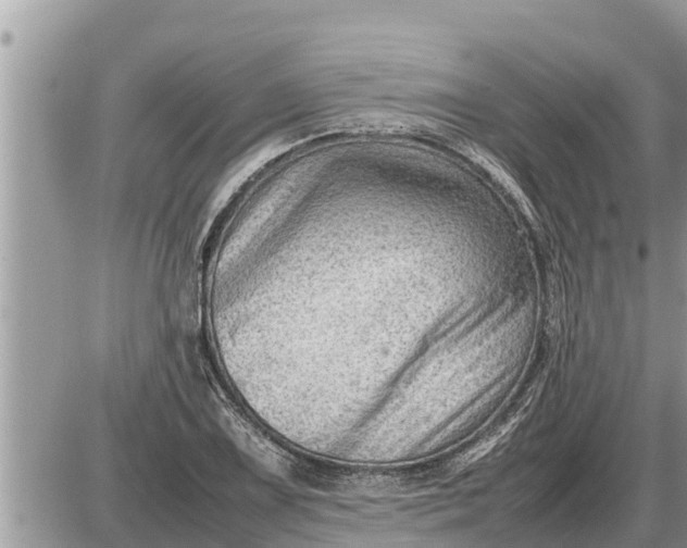 X0000087401075200705042029