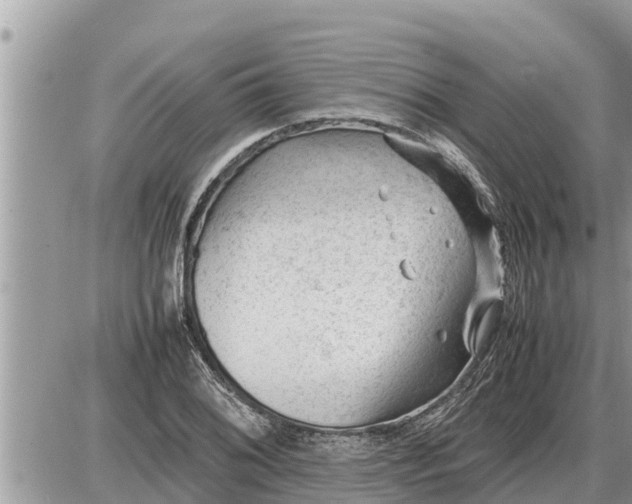 X0000087401076200705042029