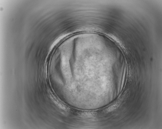 X0000087401078200705042029