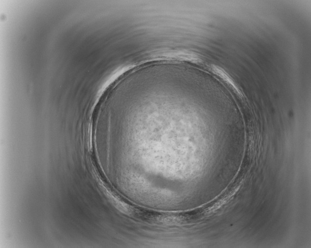 X0000087401079200705042029