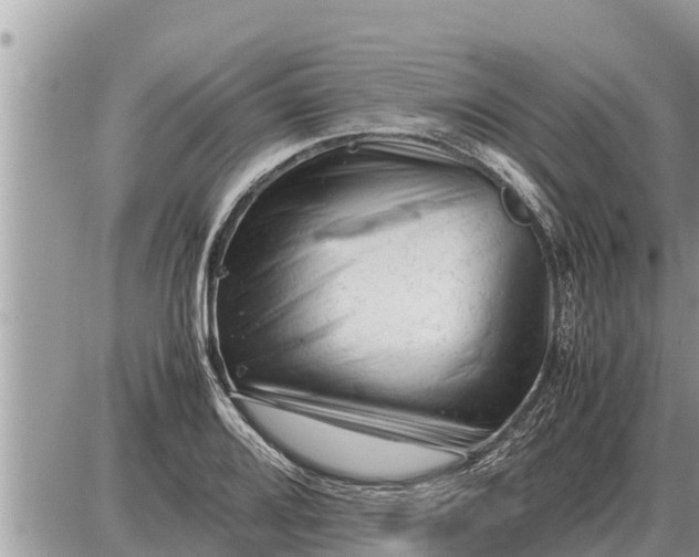 X0000087401080200705042029