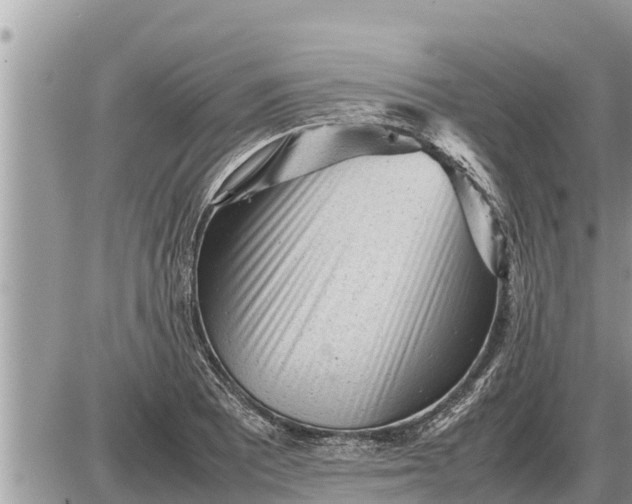 X0000087401081200705042029