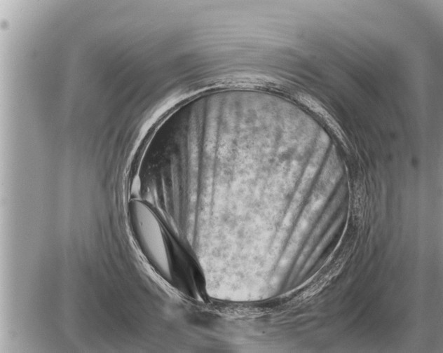 X0000087401083200705042029